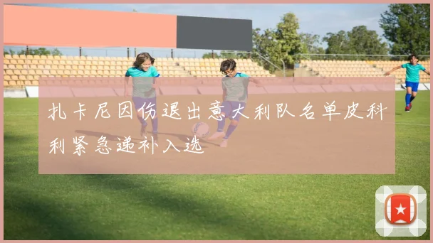 扎卡尼因伤退出意大利队名单皮科利紧急递补入选