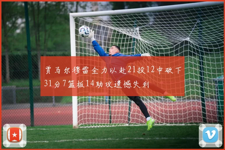 贾马尔穆雷全力以赴21投12中砍下31分7篮板14助攻遗憾失利