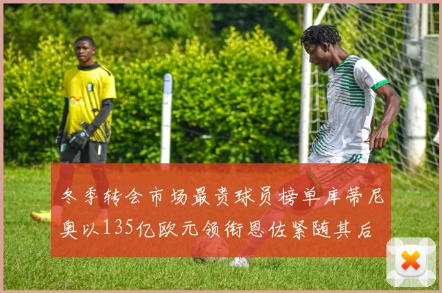 冬季转会市场最贵球员榜单库蒂尼奥以135亿欧元领衔恩佐紧随其后